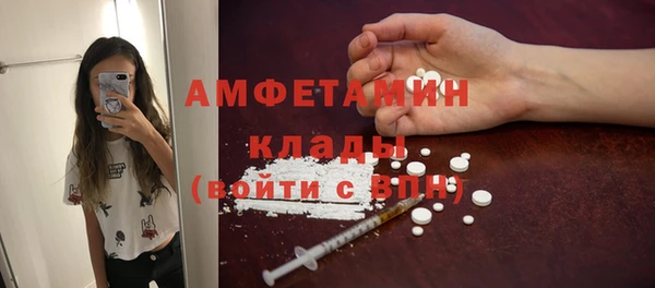 сатива Зерноград