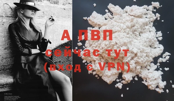 сатива Зерноград