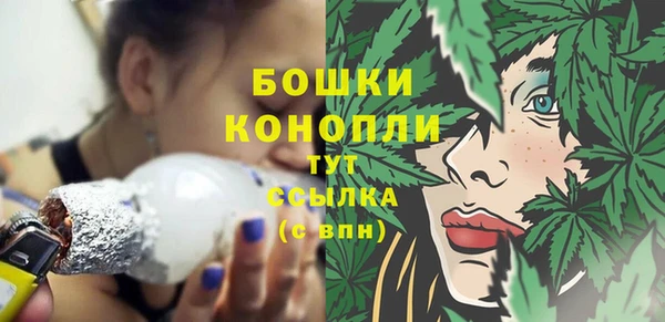 сатива Зерноград
