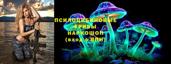 PSILOCYBIN Строитель