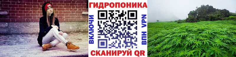 где купить наркоту  MEGA как войти  Шишки марихуана ГИДРОПОН  Сегежа 